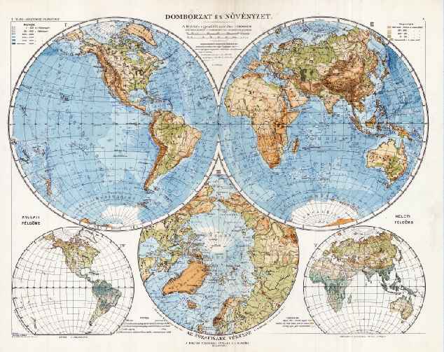 Domborzat, növényzet