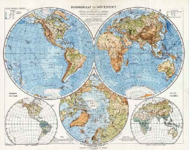 Domborzat és növényzet