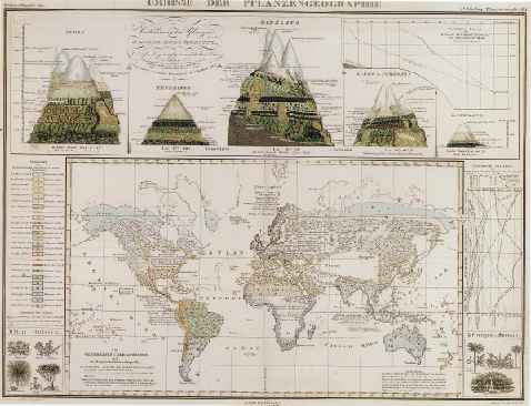 Umprisse der Pflanzengeographie